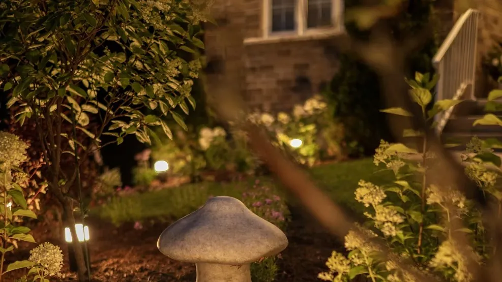 Path and garden lighting in front of a house at night